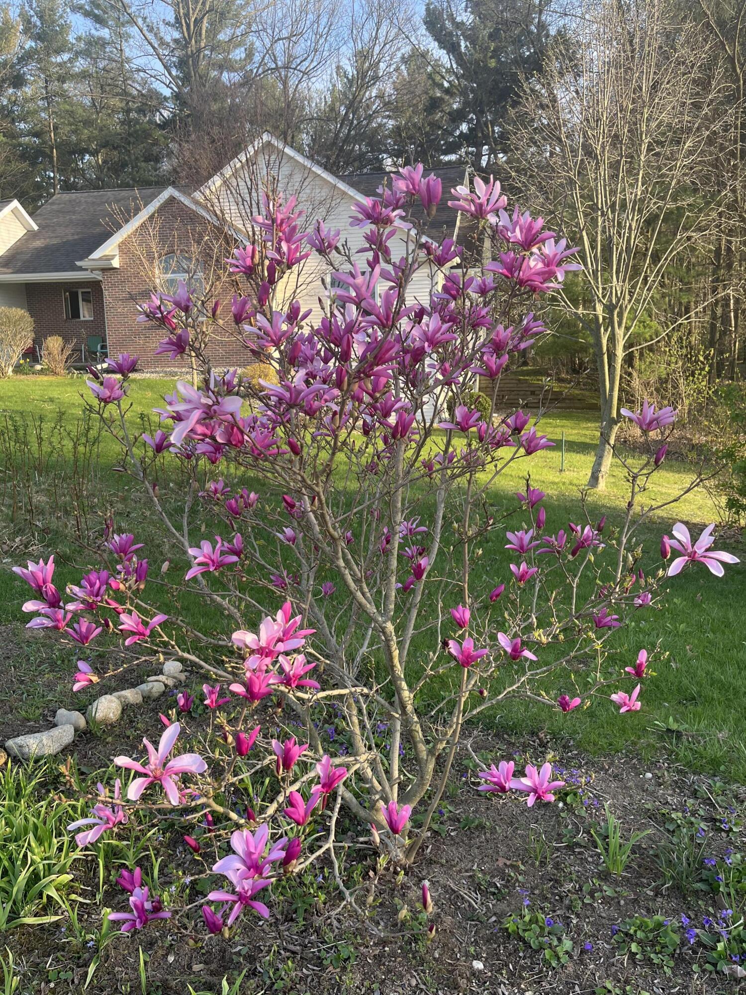 4197 Stoney Hill Drive