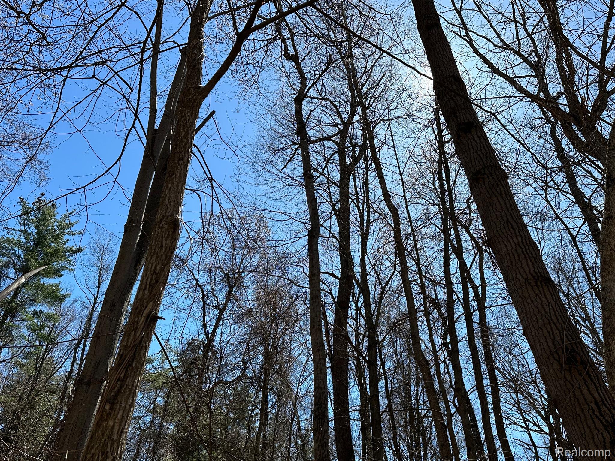 11.01 Acres Vacant Land KNIGHTS BRIDGE Road
