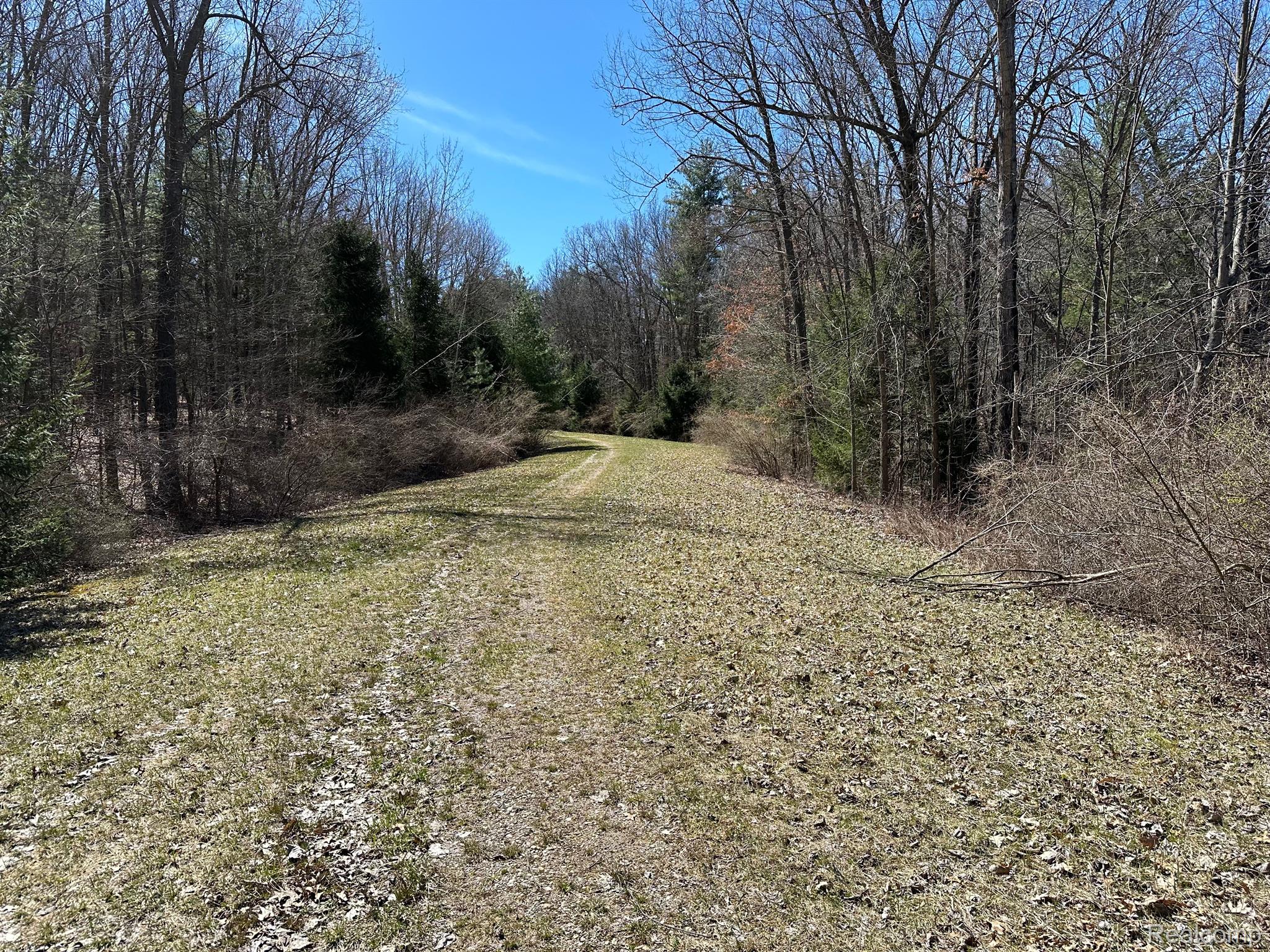 11.01 Acres Vacant Land KNIGHTS BRIDGE Road