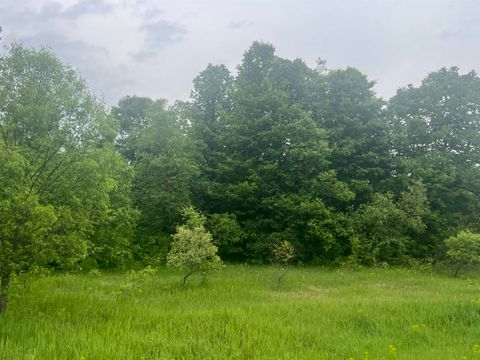 00 Wood Road, NE Coldsprings Township MI 49646