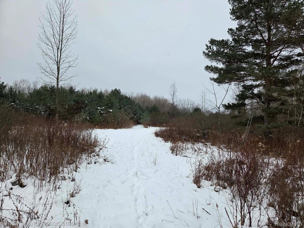 Photo of 0000 Hadley Road, Lamotte Township, MI 48426 (MLS # 20251059060)