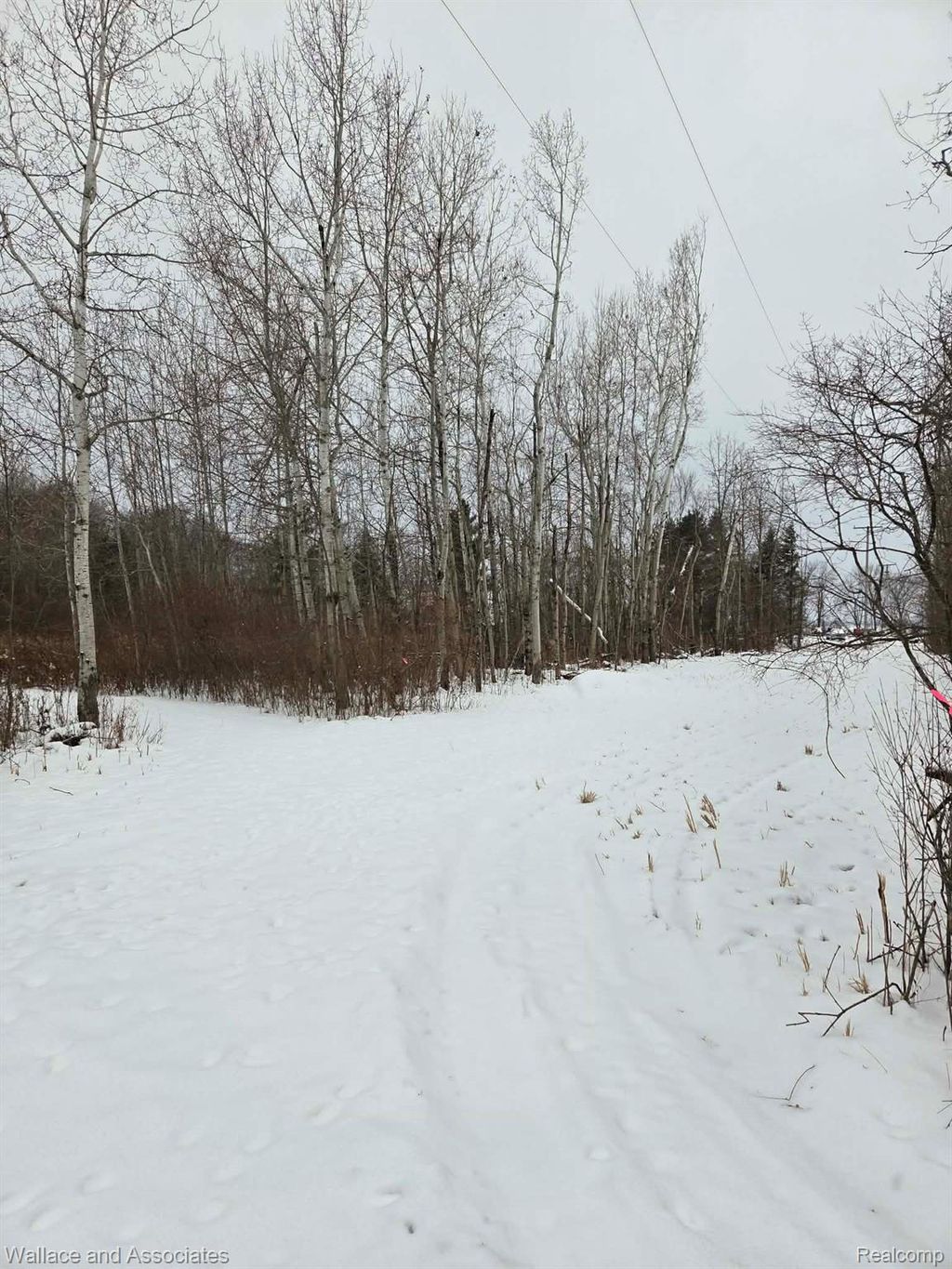 Photo of 0000 Hadley Road, Lamotte Township, MI 48426 (MLS # 20251059060)