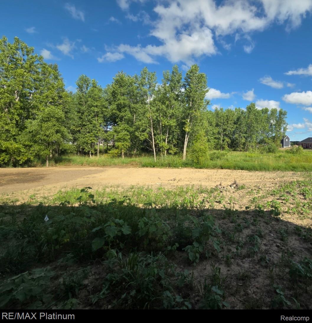 13120 Stony Brook Pass