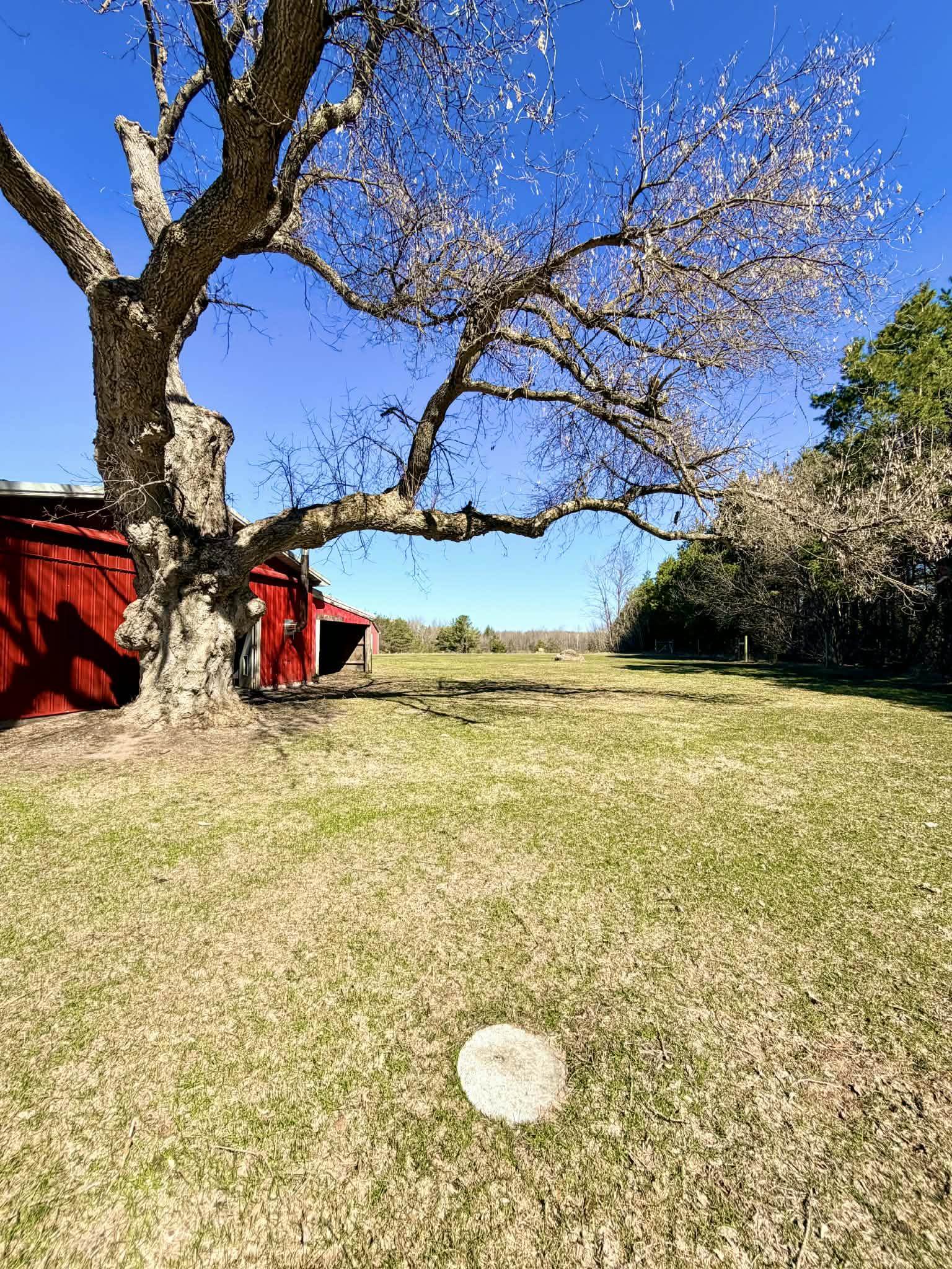 4419 E Moorestown Road