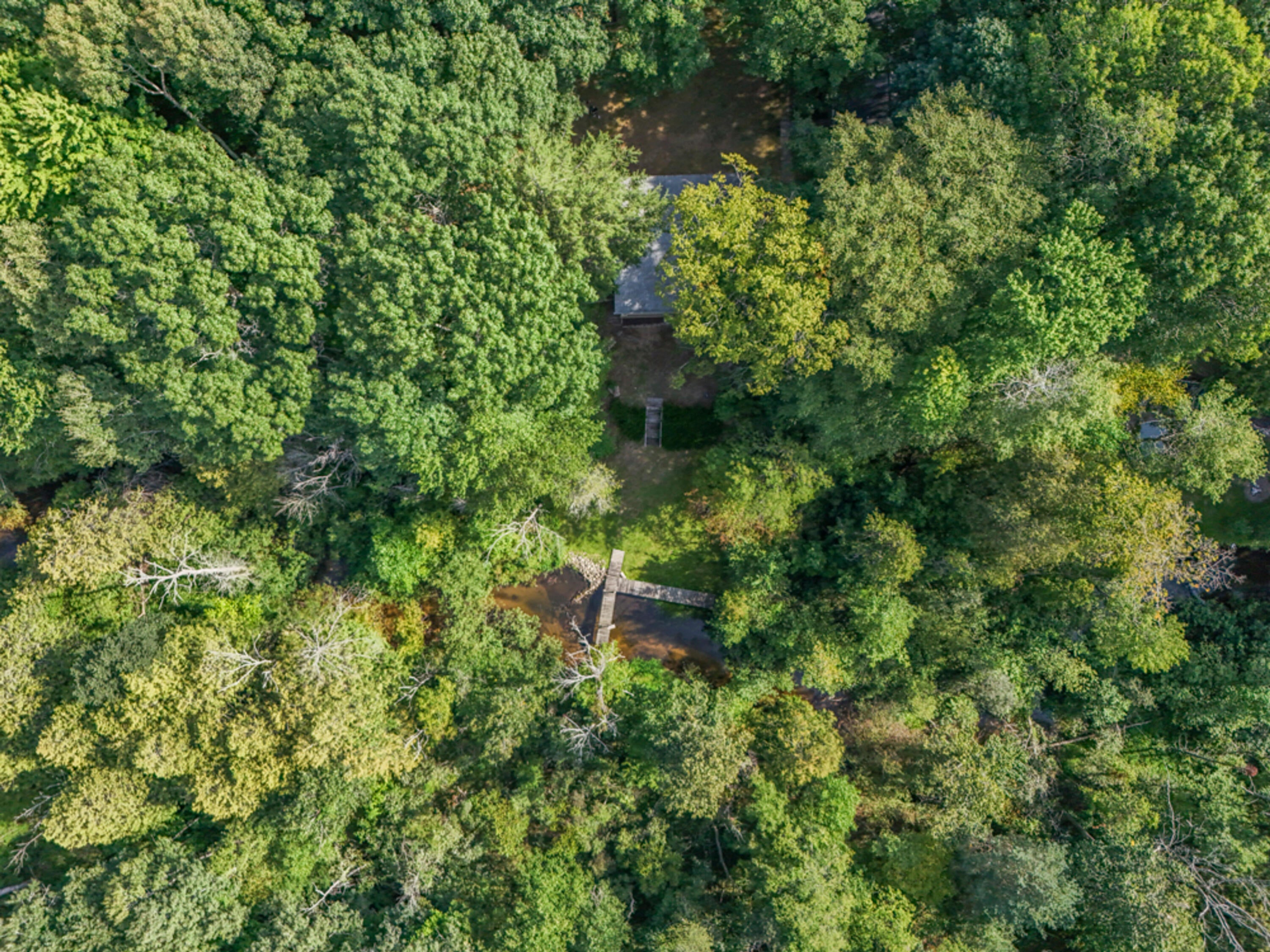 3681 S Cobmoosa Trail