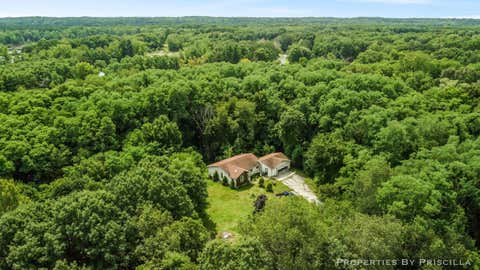 Tiny photo for 9284 Pine Island Drive NE, Algoma Township, MI 49345 (MLS # 65026044151)