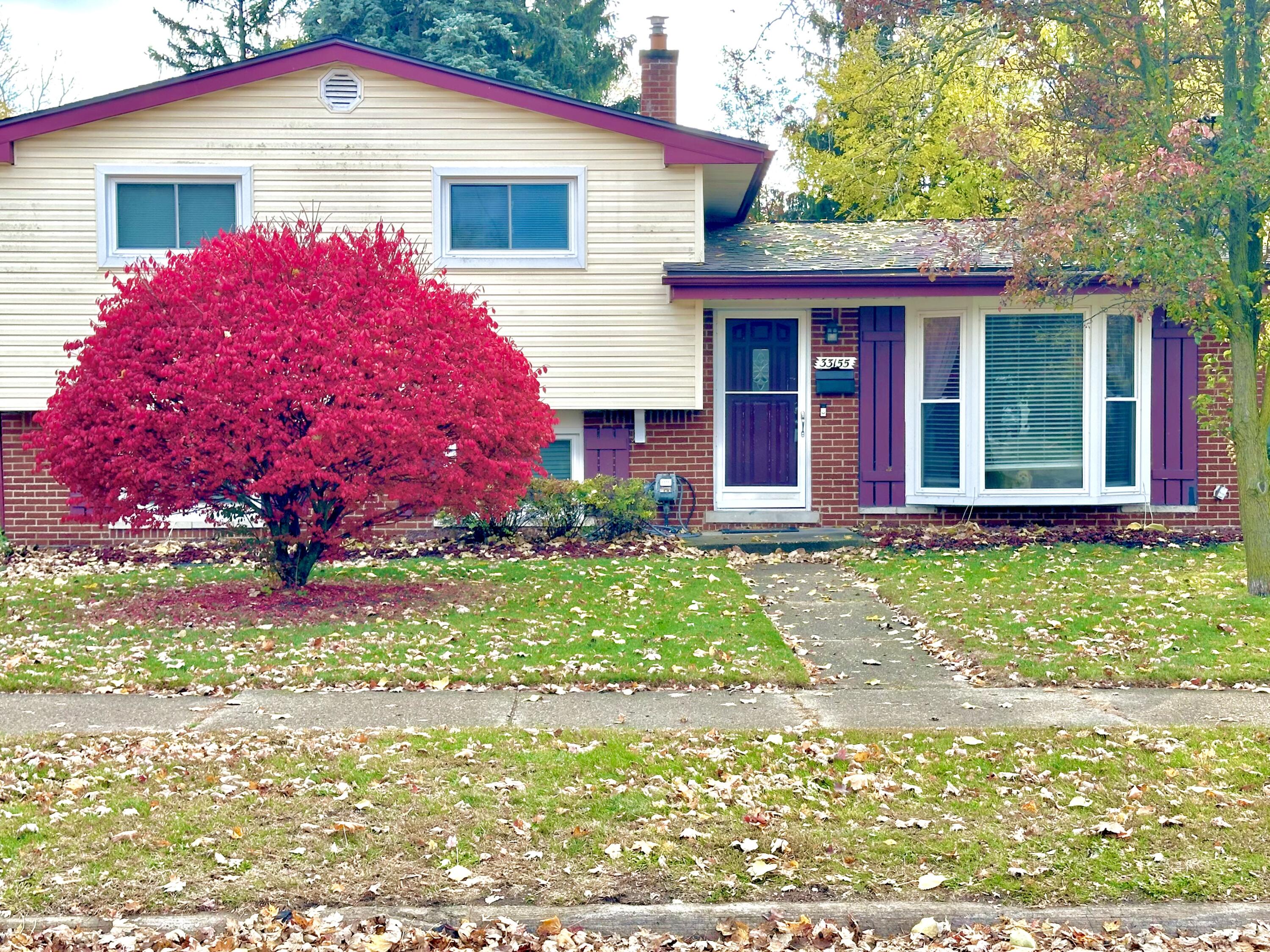 33155 Meadowlark Street