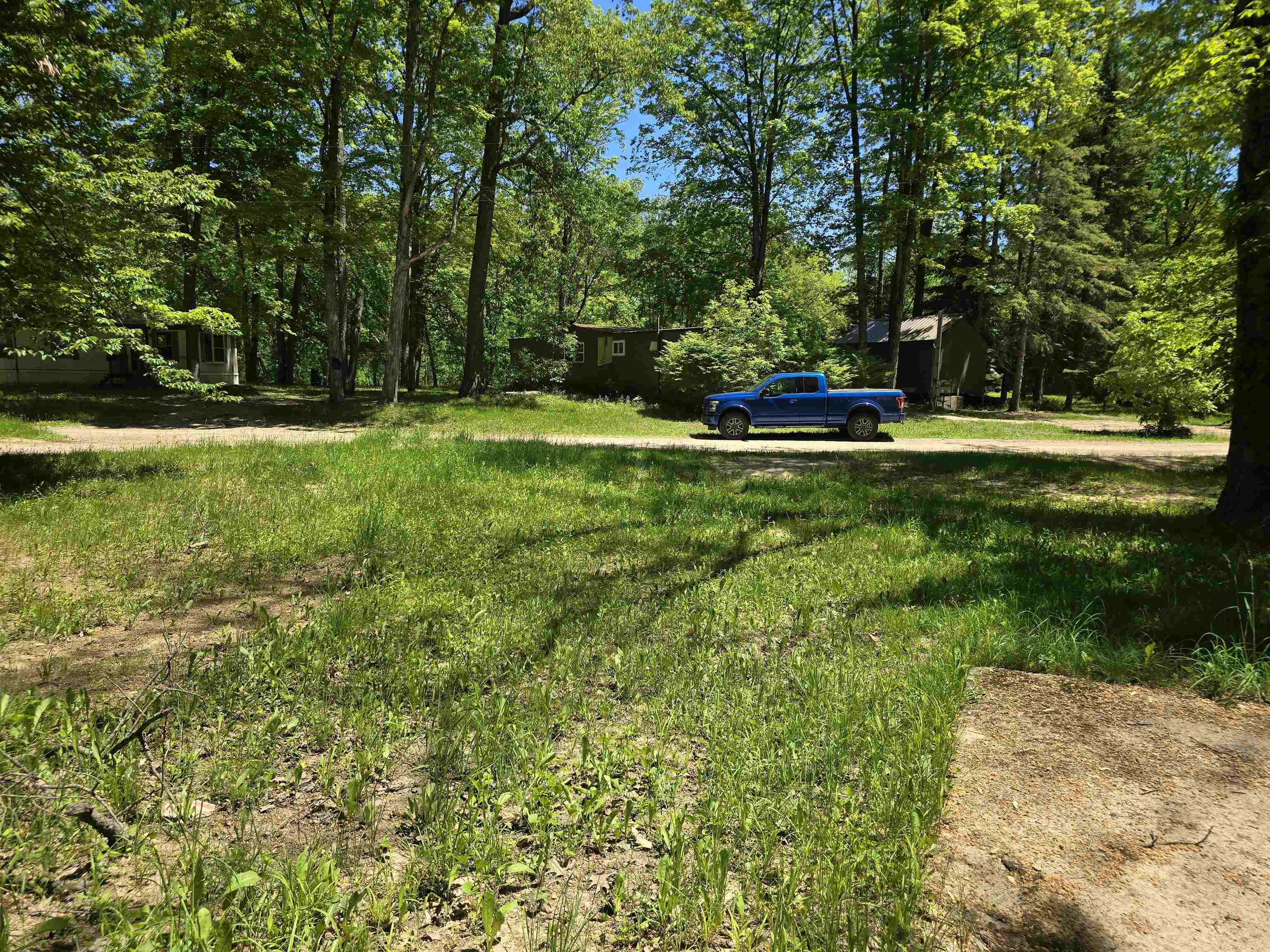 Linden Drive