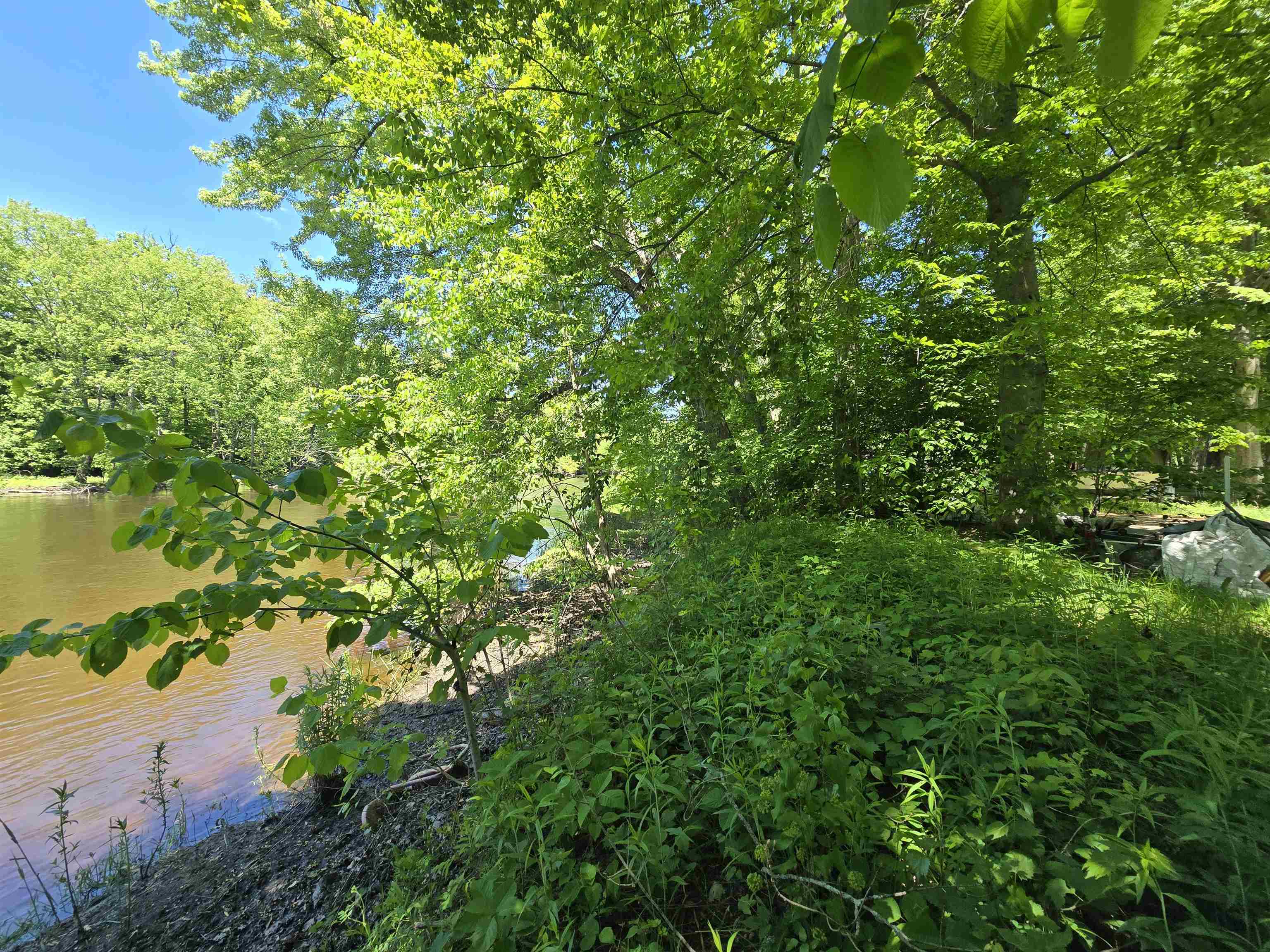 Linden Drive