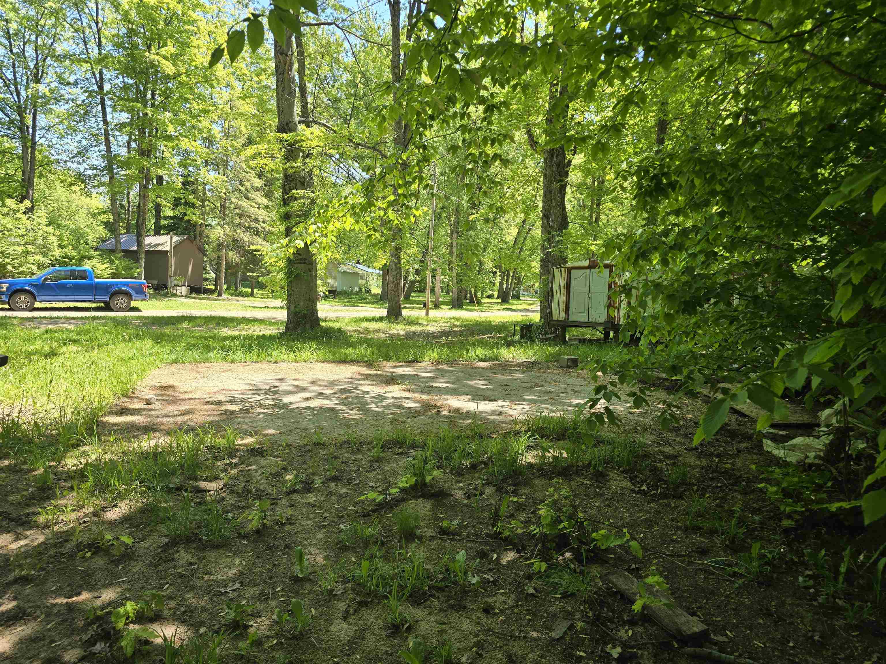 Linden Drive