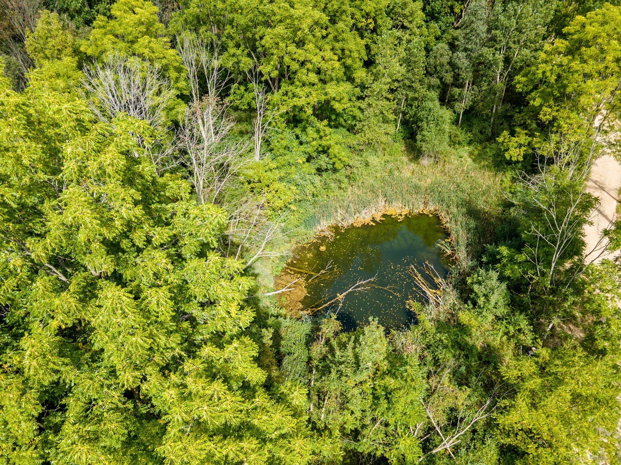 V/L Springhill Drive