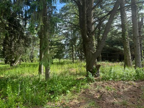 VL - LOT A Rawson Lane Schoolcraft Township MI 49097