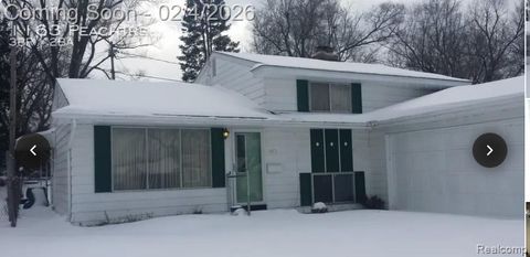 1163 Peachtree Drive Mt Morris Township MI 48458