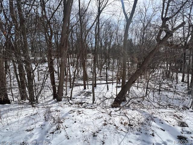 439 Alberta Lot 80 photo.jpg