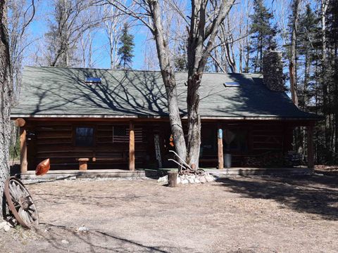4720 E Nestel Road Backus Township MI 48656
