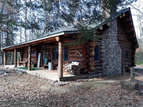 4720 E Nestel Road Backus Township MI 48656