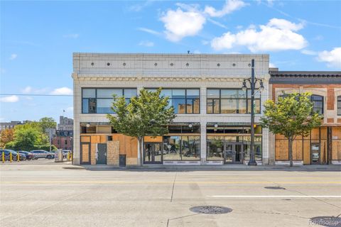 3139 Woodward Avenue Detroit City MI 48201