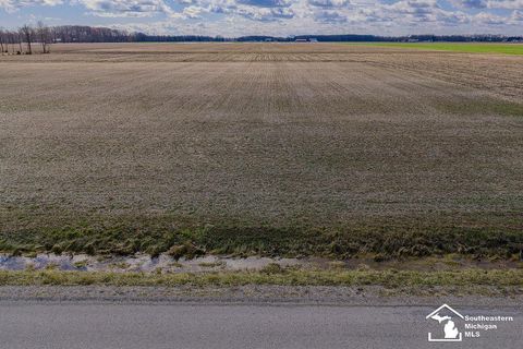 E Newburg Road Ash Township MI 48117