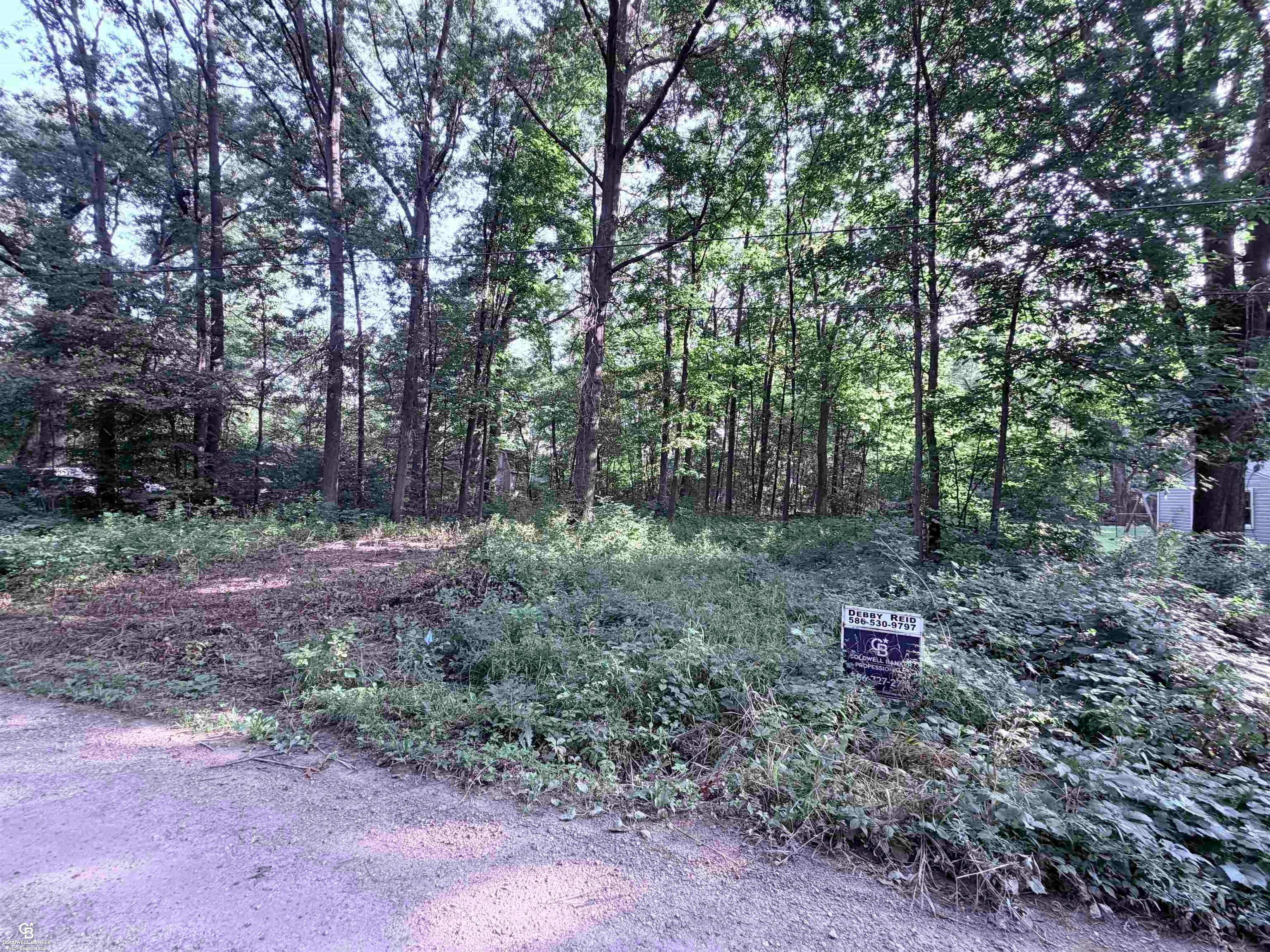 0 woodland ln Lane
