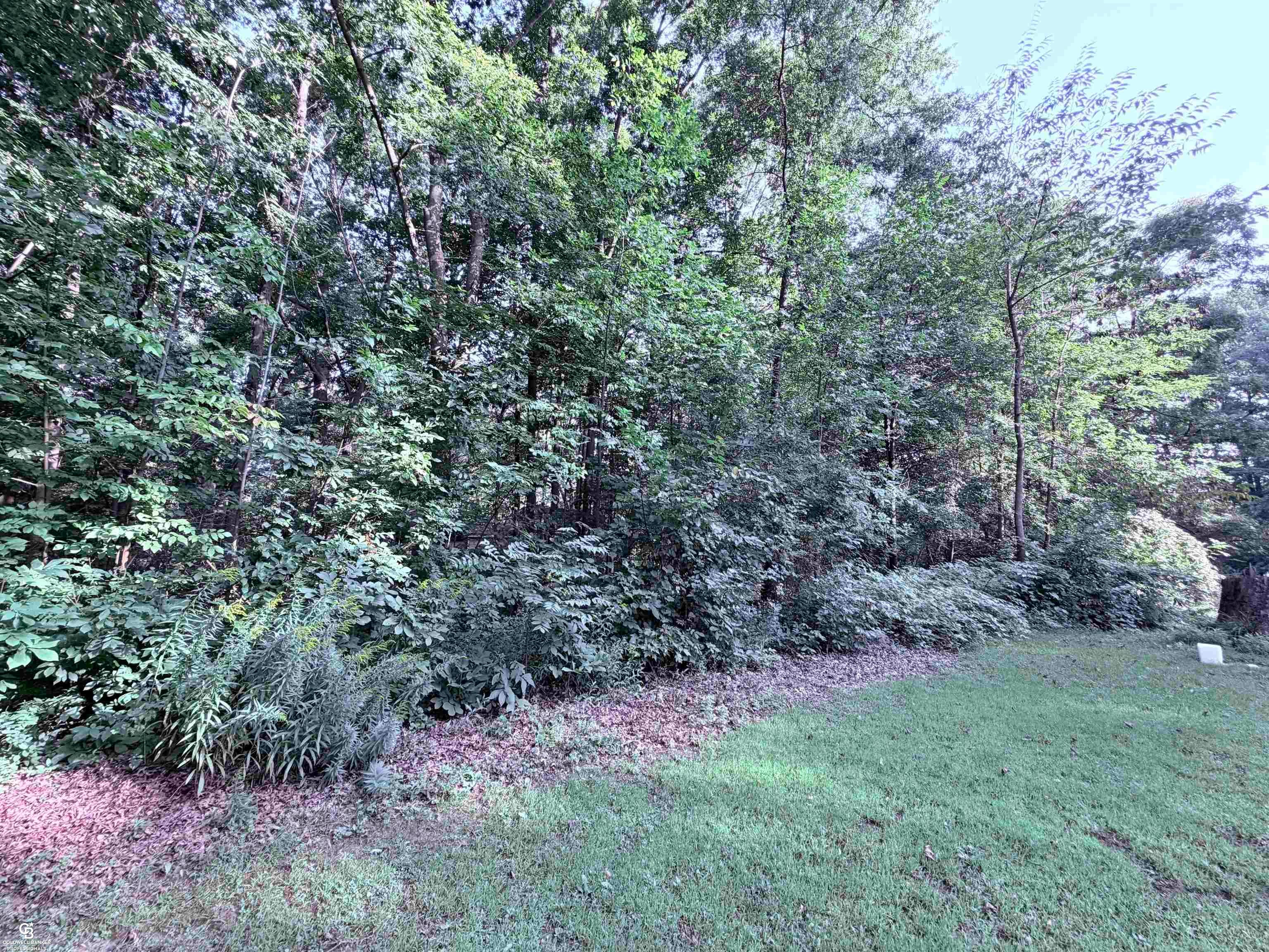 0 woodland ln Lane