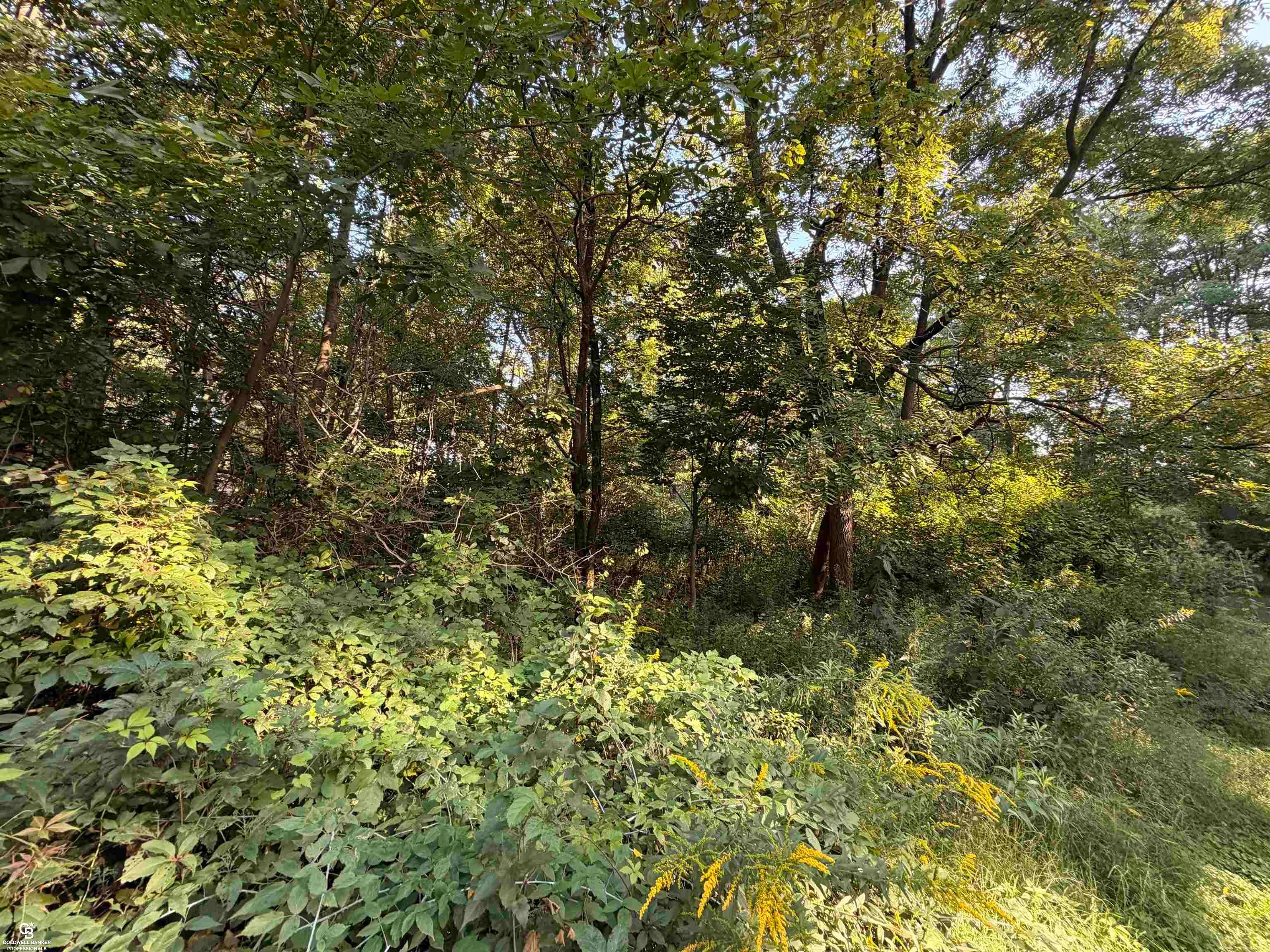 0 woodland ln Lane