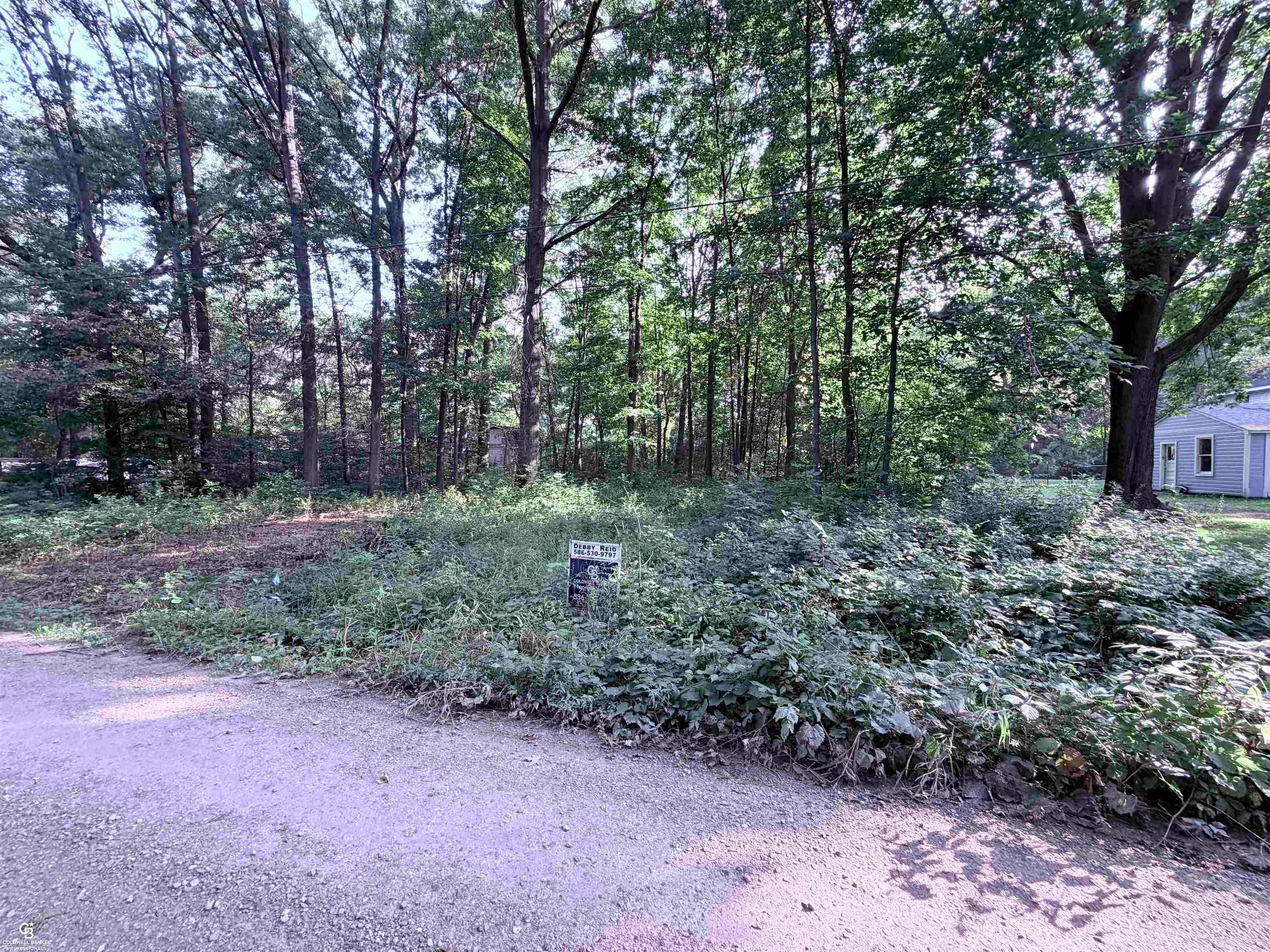 0 woodland ln Lane