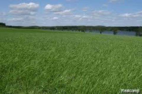 0000 Conrad Drive Clyde Township MI 48049