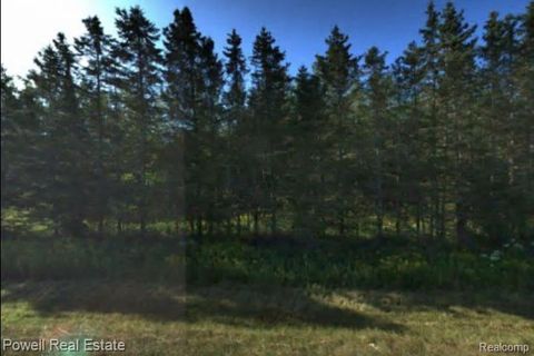 E M48 Chippewa Township MI 49774