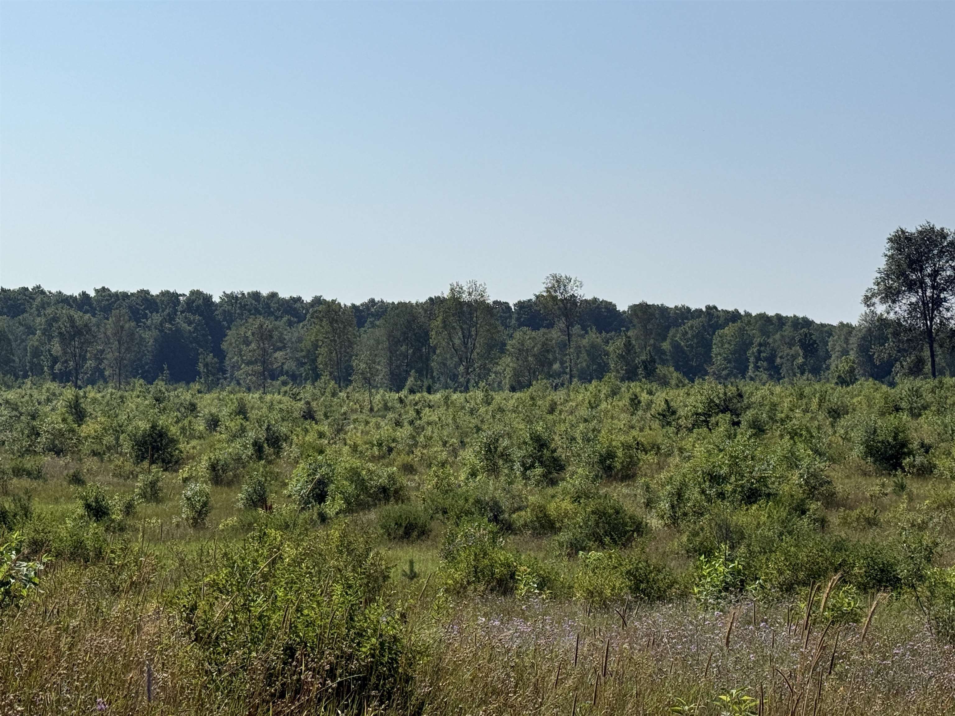 Parcel A1 E Kasson Road