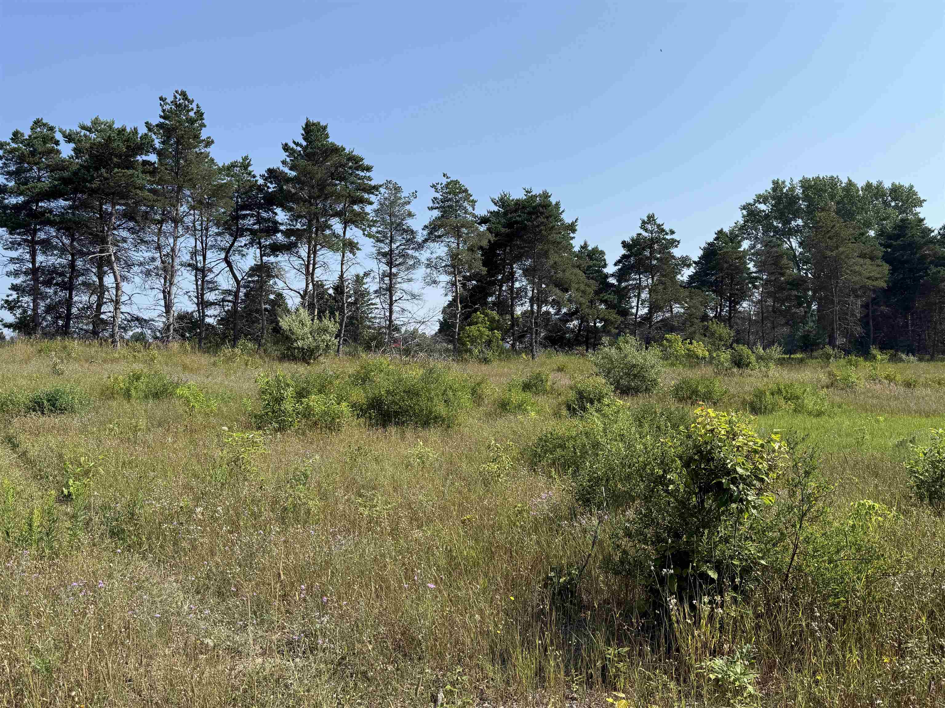 Parcel A1 E Kasson Road