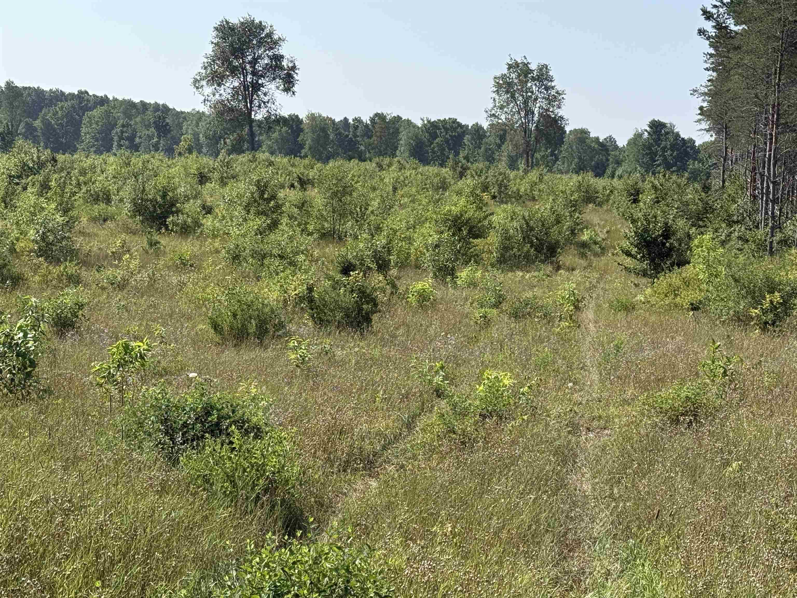 Parcel A1 E Kasson Road