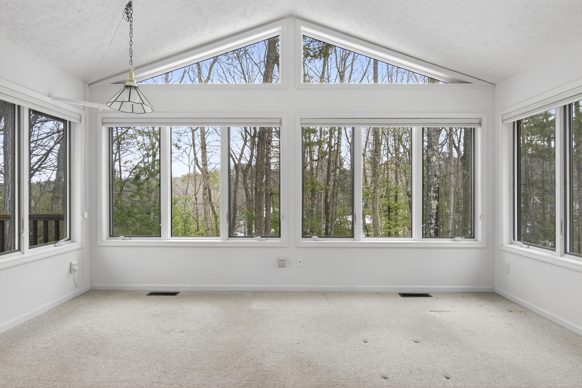 4536 Paper Birch Lane