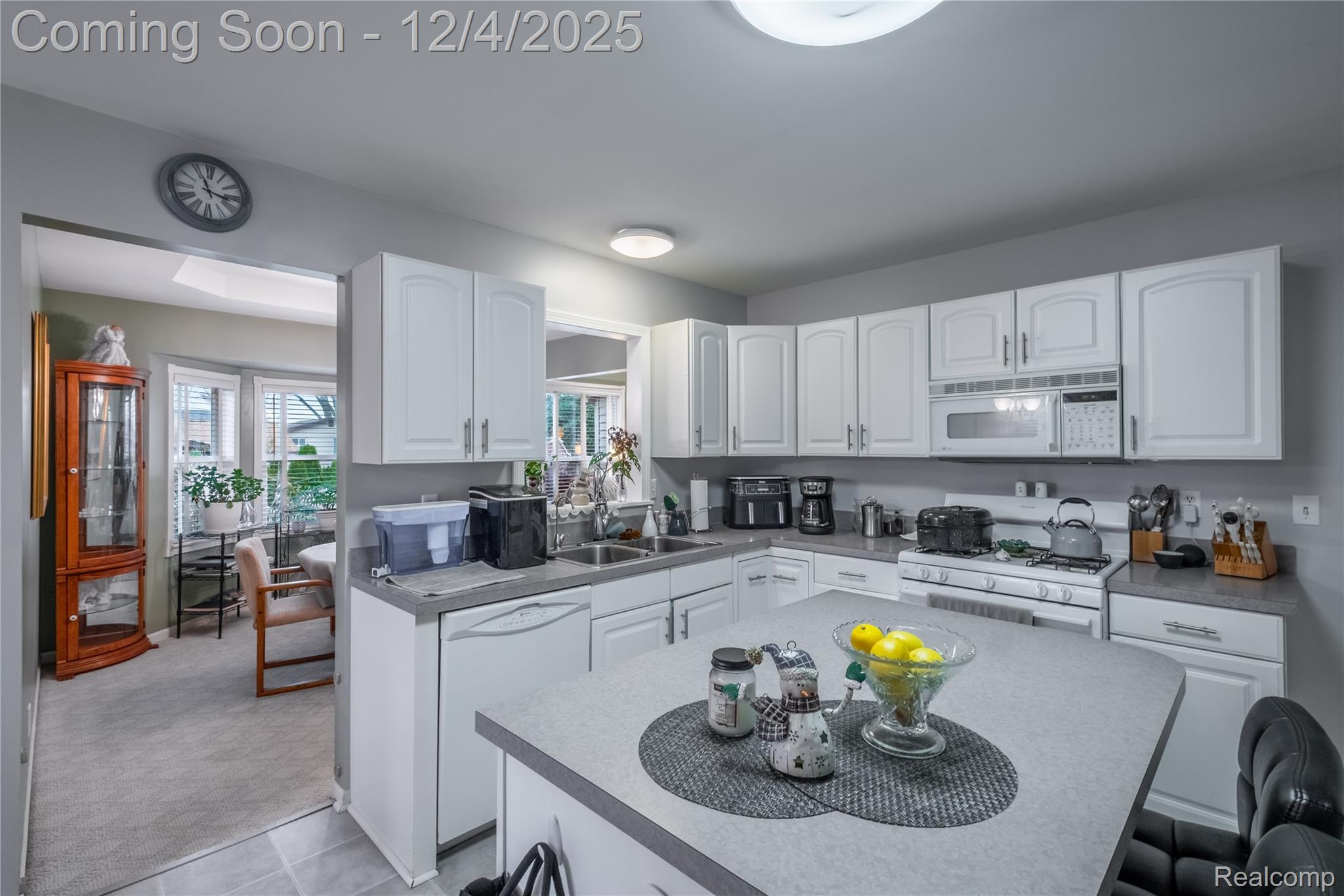 2420 Torrey Grove Court