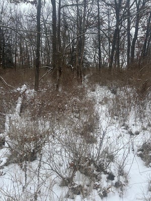 12840 LARKINS RD, BRIGHTON, MI 48114 - Image 5bb5e3829cf3c47507e0e0b8d2fc9655/766974543
