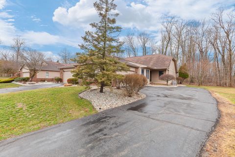 Tiny photo for 500 Richlyn Drive, Adrian Township, MI 49221 (MLS # 81026009586)