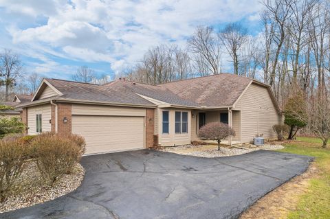 Photo of 500 Richlyn Drive, Adrian Township, MI 49221 (MLS # 81026009586)