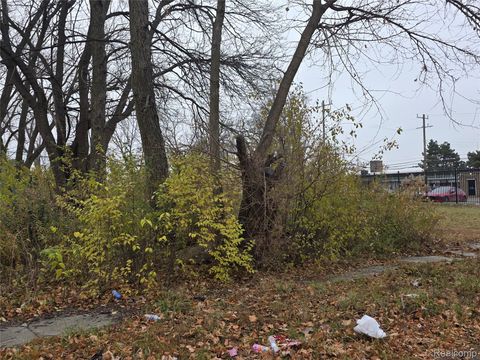 17163 Hawthorne Street Detroit City MI 48203