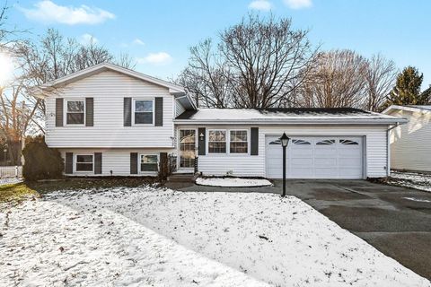 917 N Detroit Street Buchanan City MI 49107