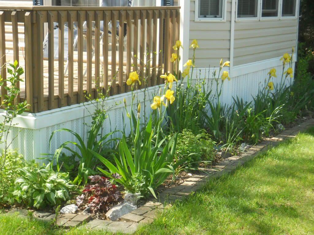 6473 Blue Star Highway #12