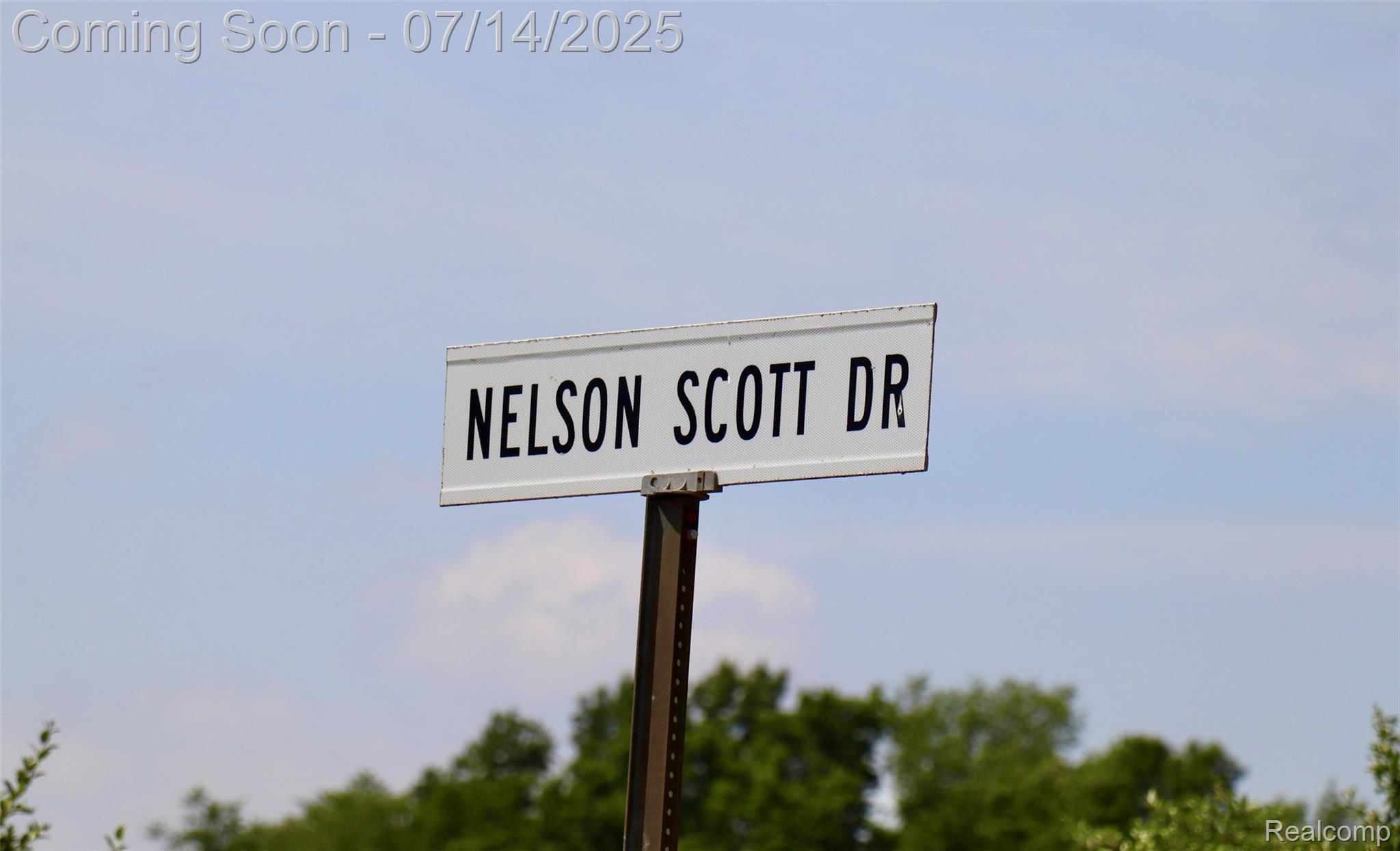 4385 Nelson Scott Drive