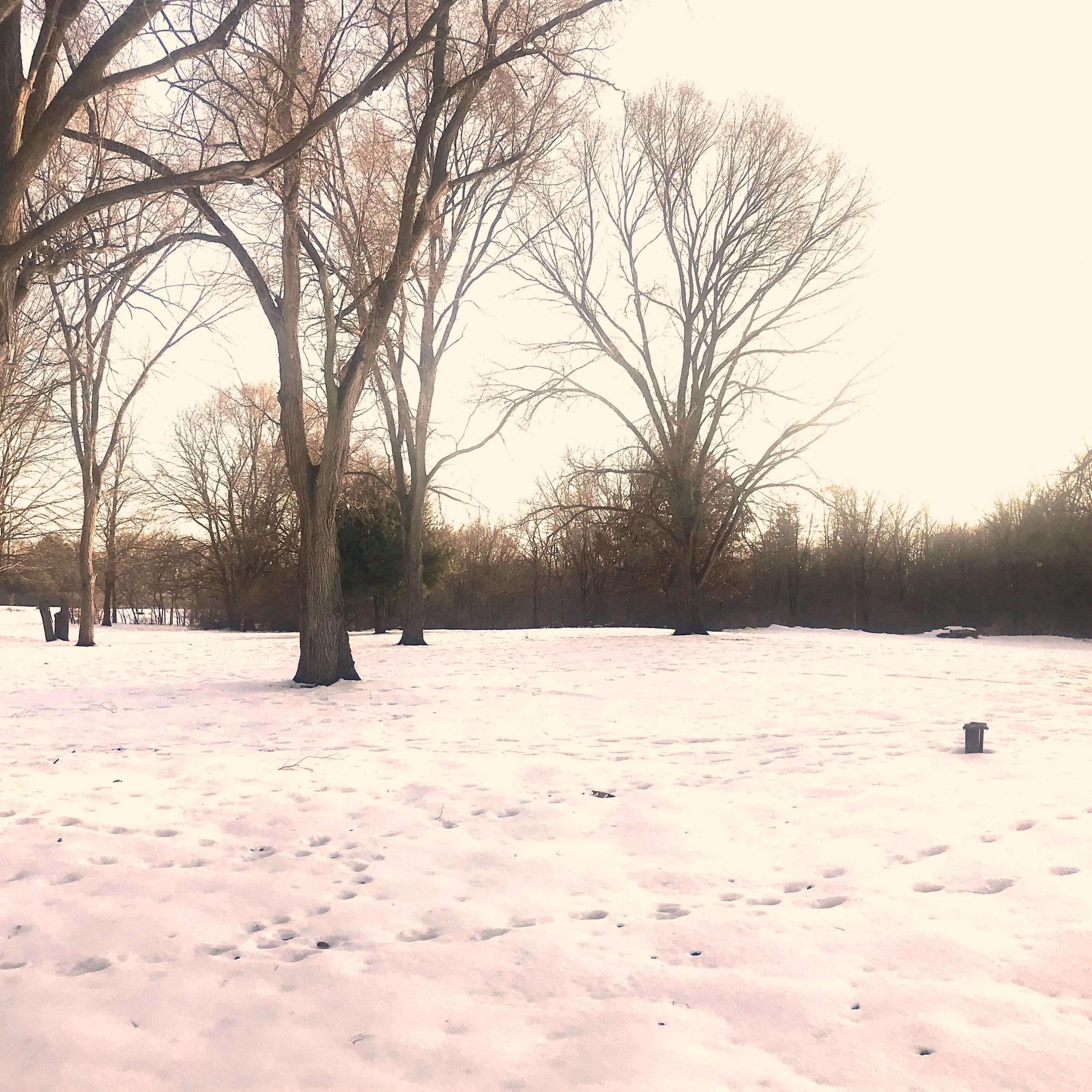 34535 N Brookwood Drive