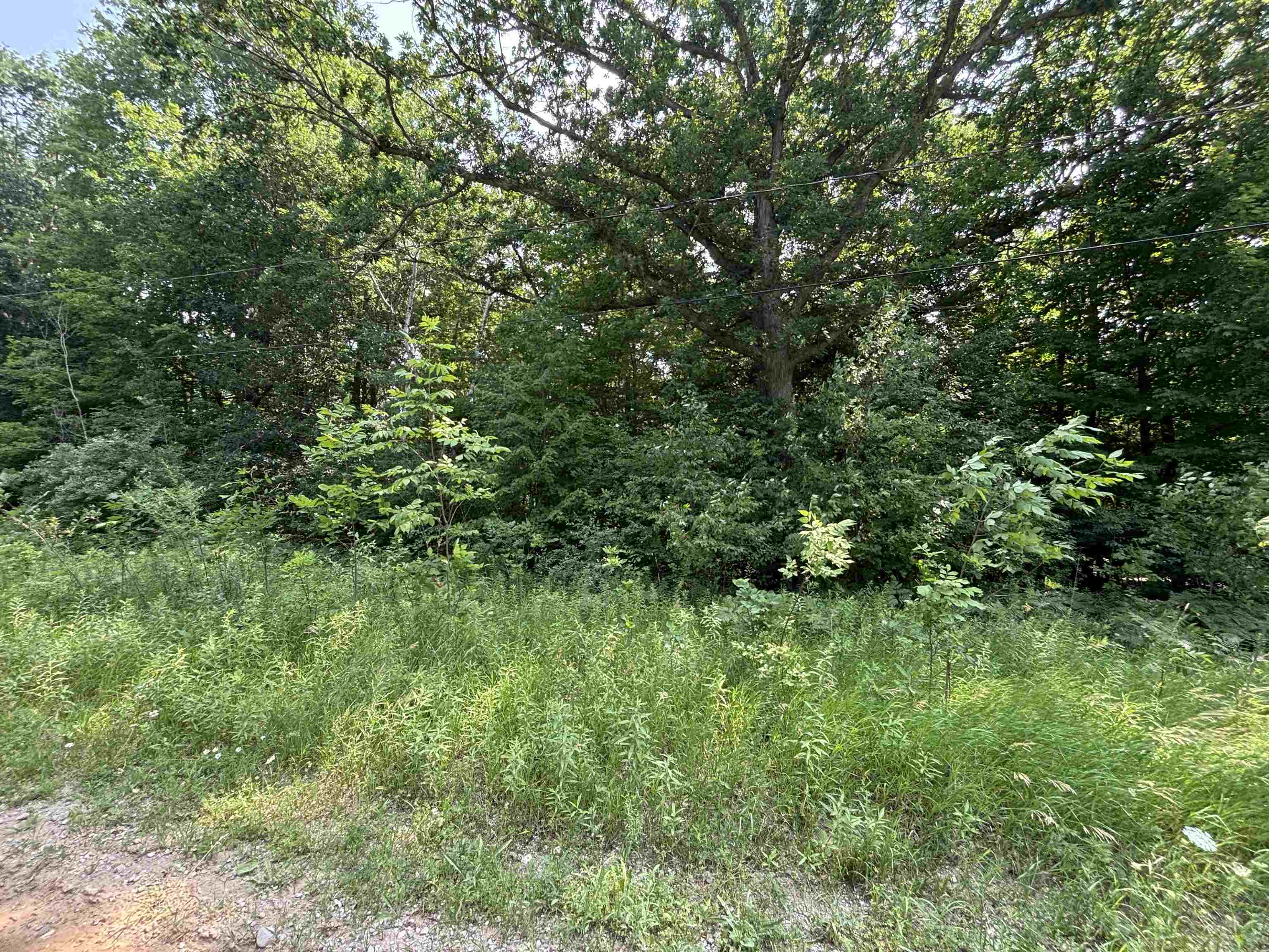 V/l White Birch Drive