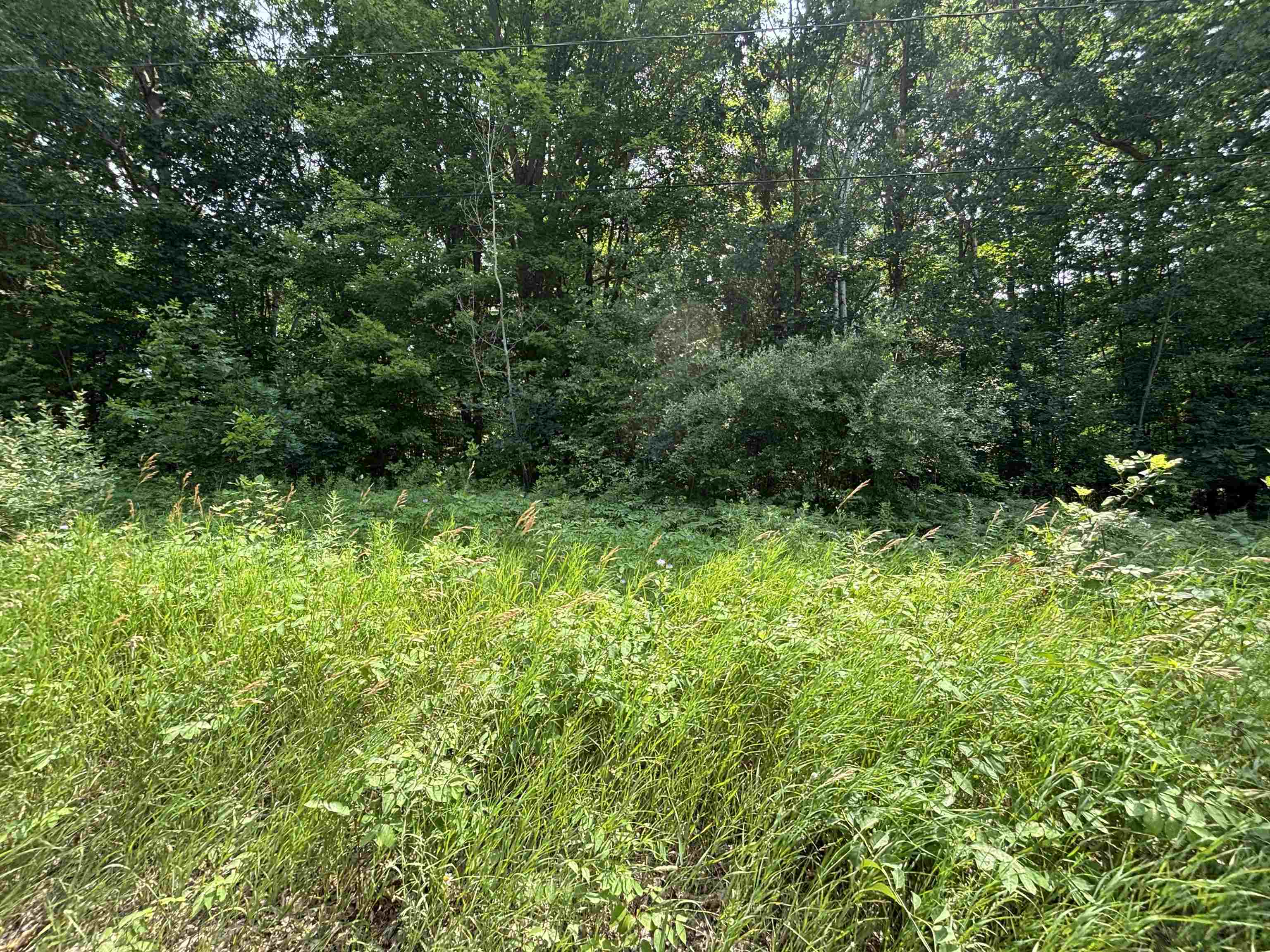 V/l White Birch Drive