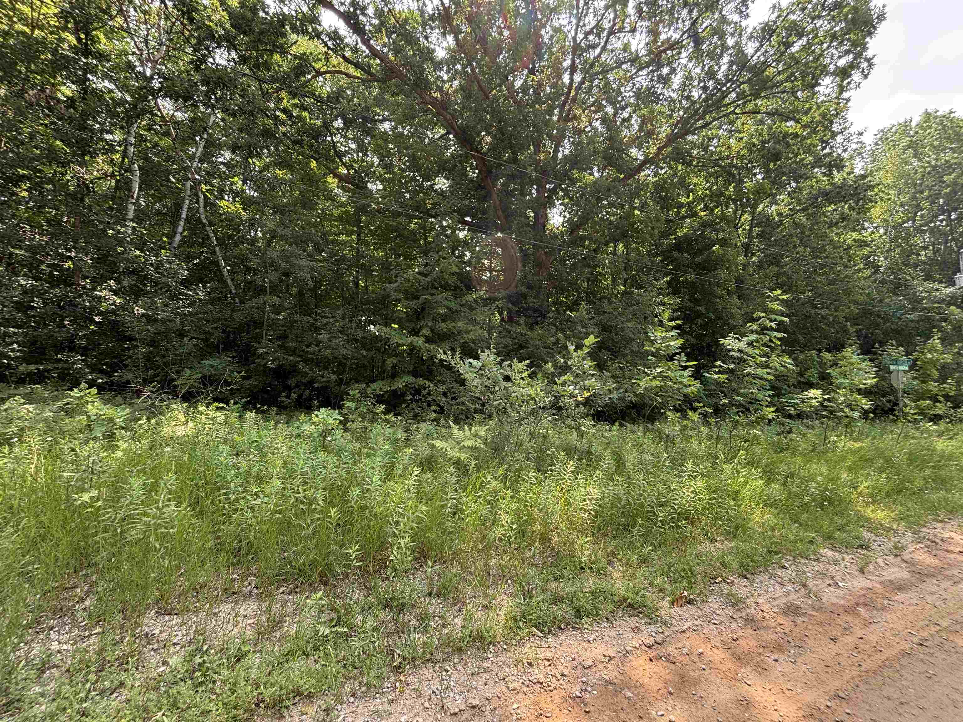 V/l White Birch Drive