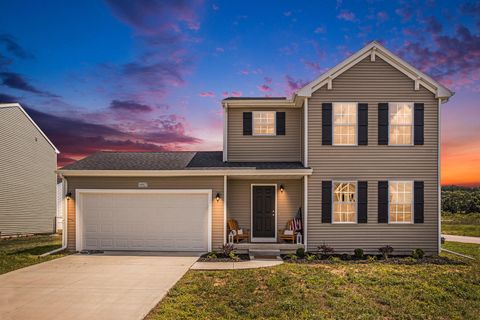 58927 Norton Street Antwerp Township MI 49071