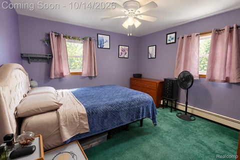 Tiny photo for 7737 Ormes Road, Tuscola Township, MI 48768 (MLS # 20261083242)