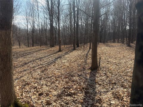 V/L Fulton Fremont Township MI 48744