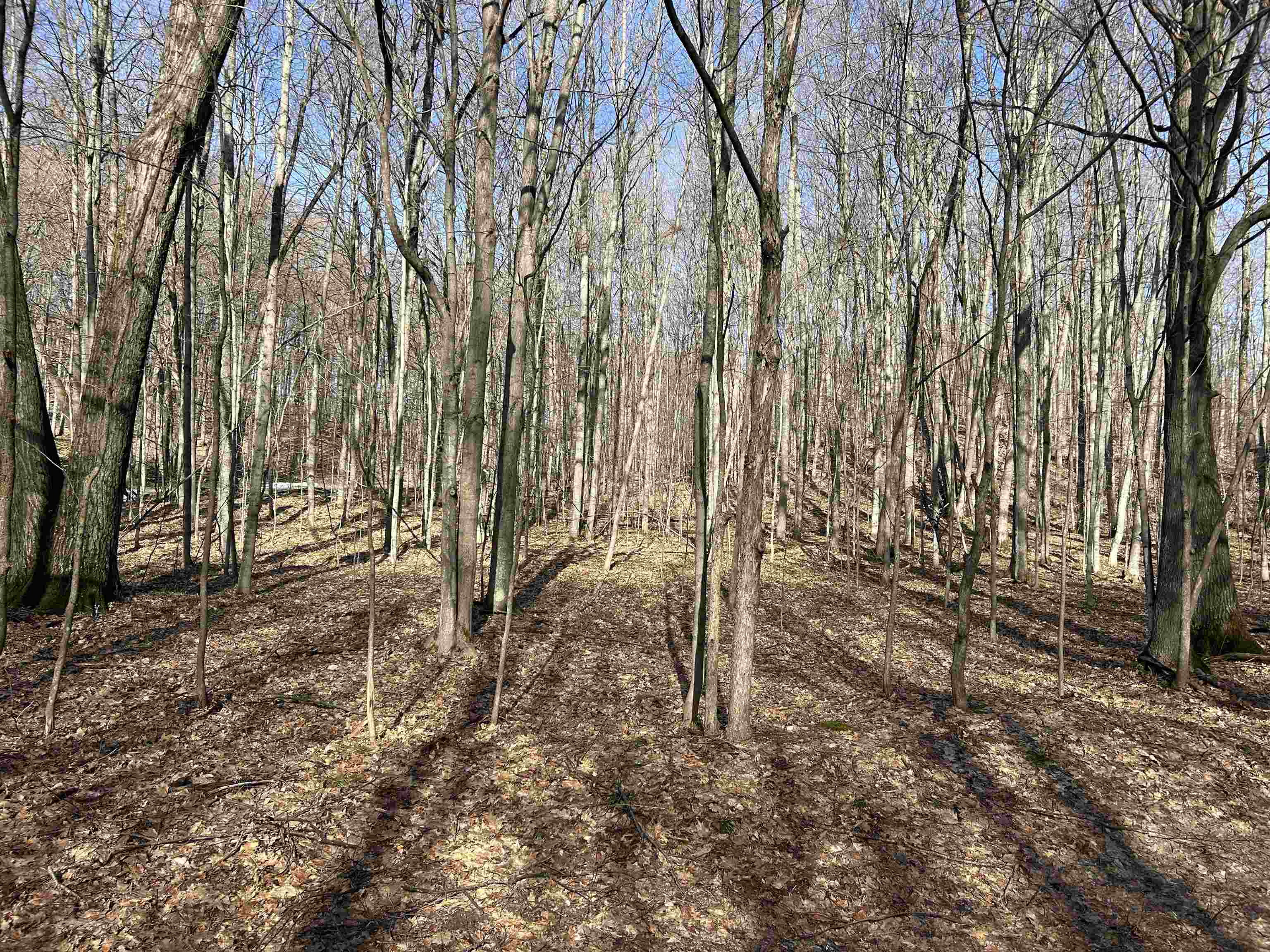 Lot 11 Heideldorf Drive