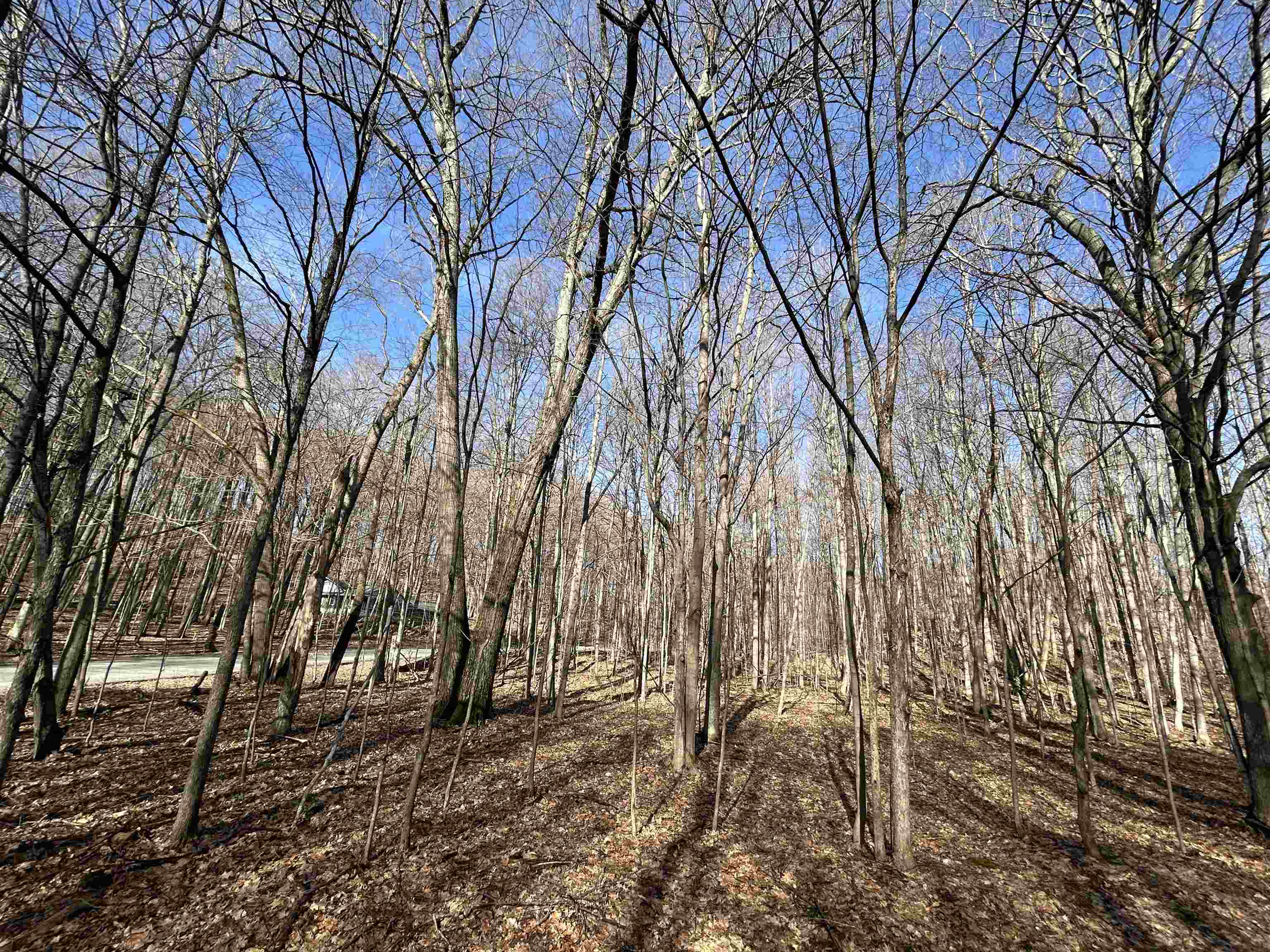 Lot 11 Heideldorf Drive