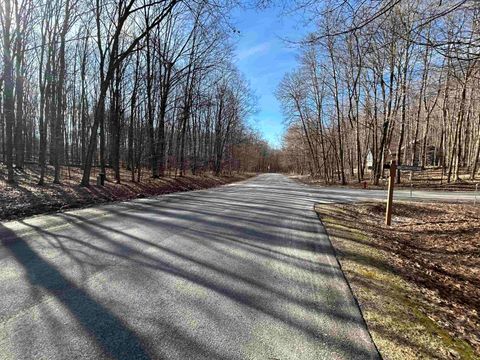 Lot 11 Heideldorf Drive Custer Township MI 49615